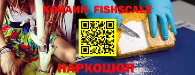стаф Дубна