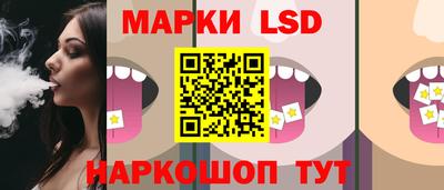 стаф Дубна