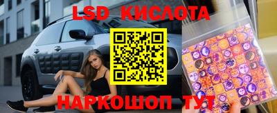 стаф Дубна