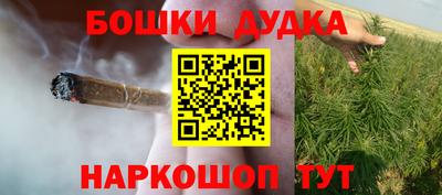 стаф Дубна