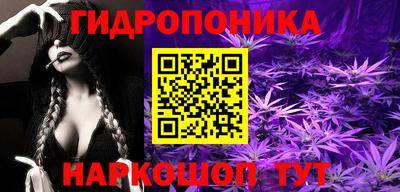 стаф Дубна