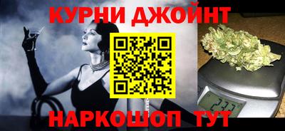 стаф Дубна