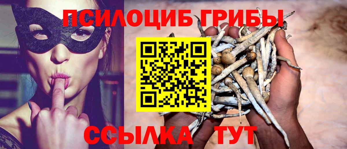 Псилоцибиновые грибы GOLDEN TEACHER  Вход с VPN  Можайск 